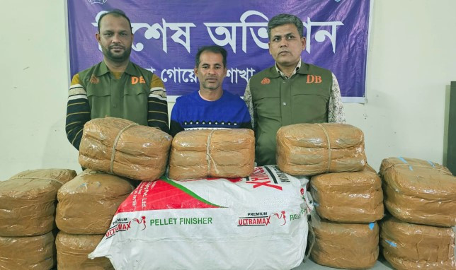কুমিল্লায় ৫৪ কেজি গাঁজাসহ ডিবি পুলিশের হাতে গ্রেফতার